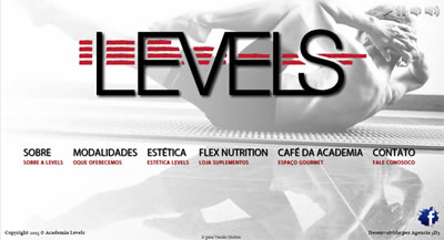 Academia Levels